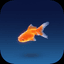 Goldfish